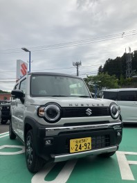 ハスラー（タフワイルド）試乗車が来ました！